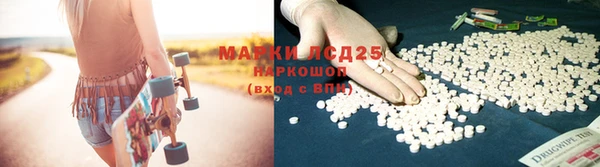 ГАЛЛЮЦИНОГЕННЫЕ ГРИБЫ Заводоуковск