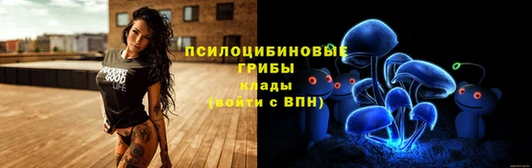 ГАЛЛЮЦИНОГЕННЫЕ ГРИБЫ Заводоуковск
