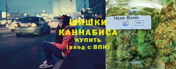 прущие грибы Чекалин