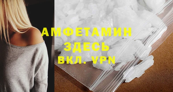 прущие грибы Чекалин