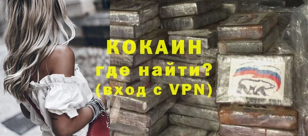 ГАЛЛЮЦИНОГЕННЫЕ ГРИБЫ Заводоуковск