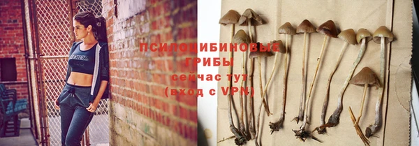 гидра Чегем