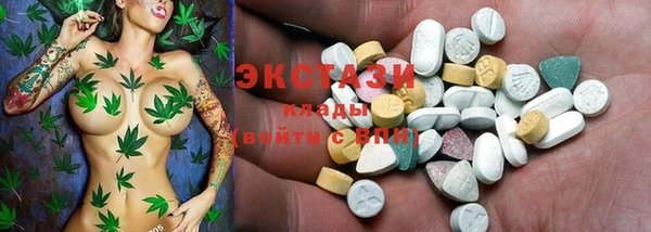 гидра Чегем