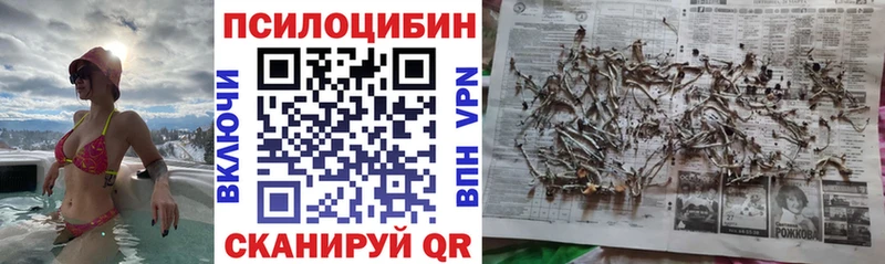 Галлюциногенные грибы Psilocybine cubensis  Сосновоборск 