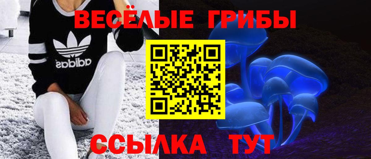 Галлюциногенные грибы ЛСД Сосновоборск