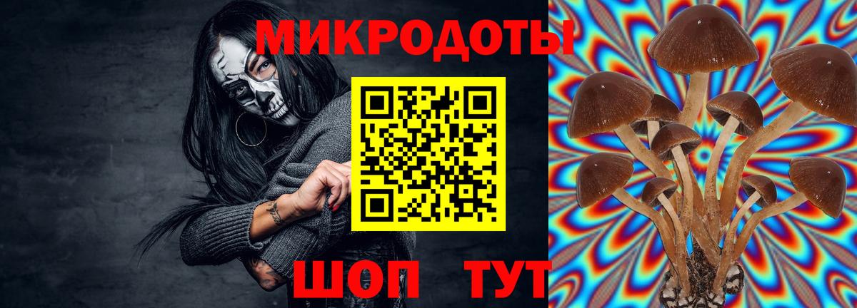 Псилоцибиновые грибы прущие грибы  Вход с VPN  Сосновоборск 